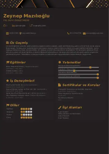 Felsefe Öğretmeni CV Örnekleri cv indir